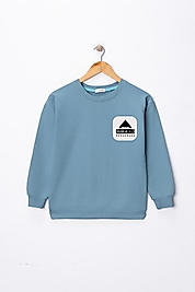 Erkek Çocuk "Anka" Baskılı Pamuklu Sweat